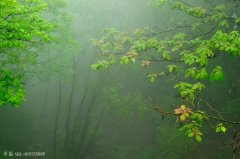 煙雨霏霏不肯收，氤氳掃盡復登樓