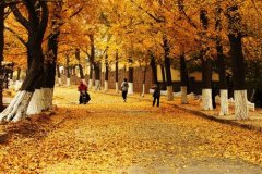 細數(shù)自己在這里渡過的每個春夏秋冬