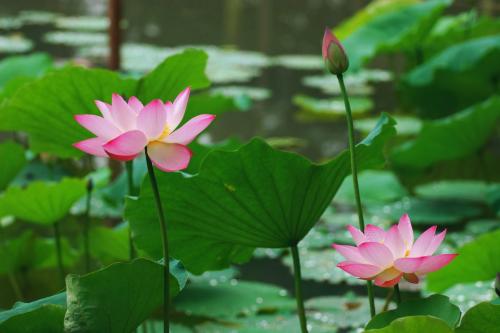 關(guān)于朋友突然相見很開心的句子