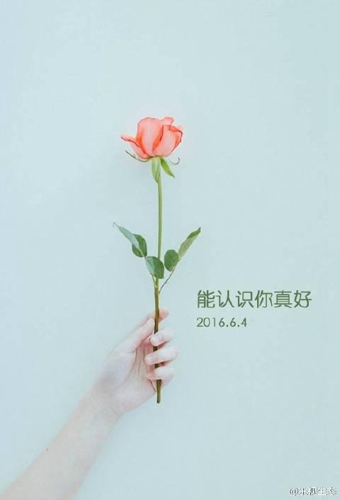 認(rèn)識(shí)你們開(kāi)心的句子 認(rèn)識(shí)你們開(kāi)心的句子