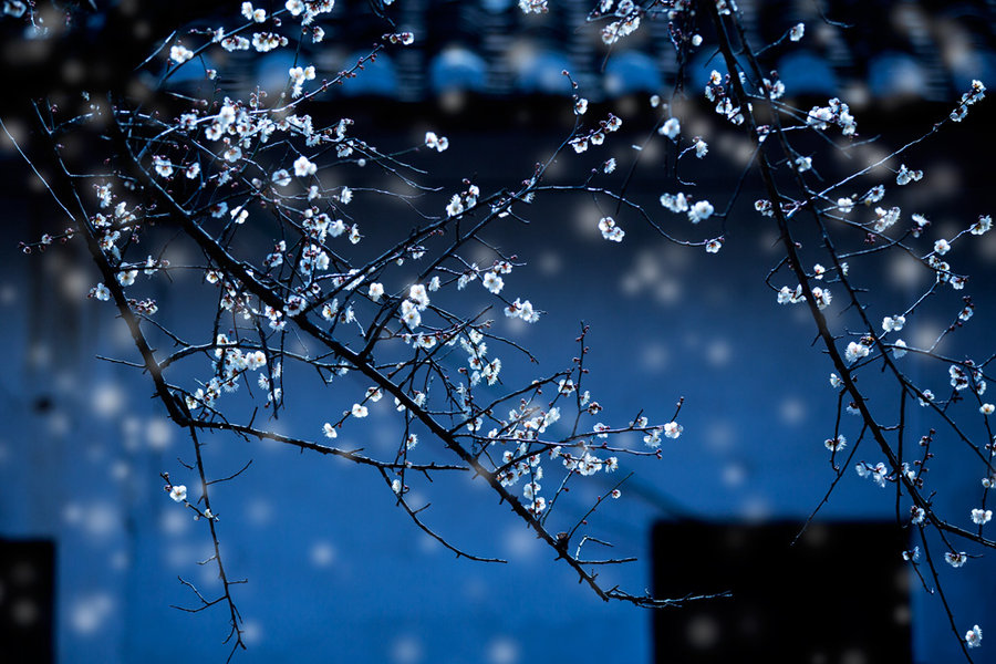 下雨心煩的圖片和句子