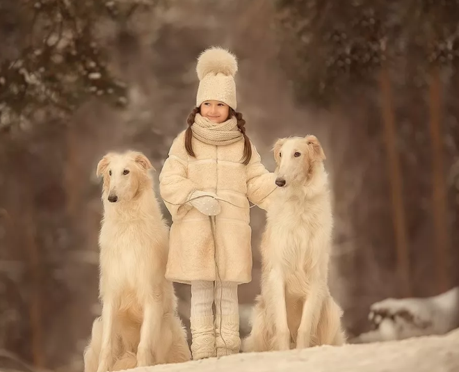 下雪的幽默句子