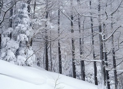 下雪時發(fā)朋友圈的好句 文案