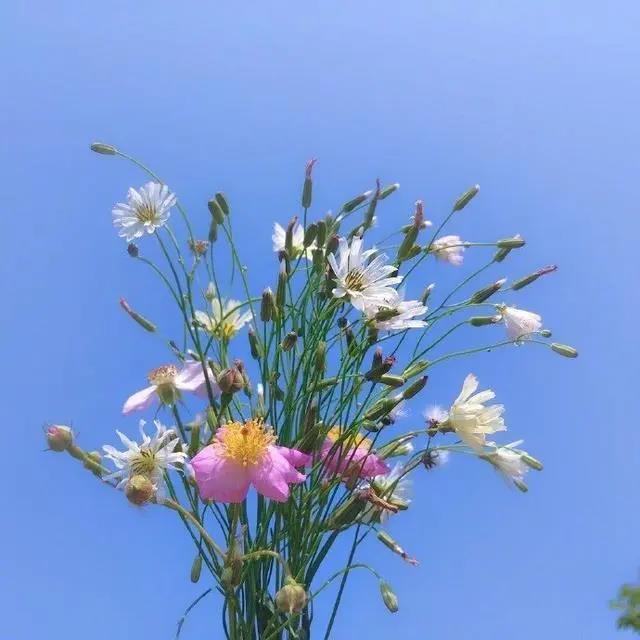 未來可期的正能量句子，