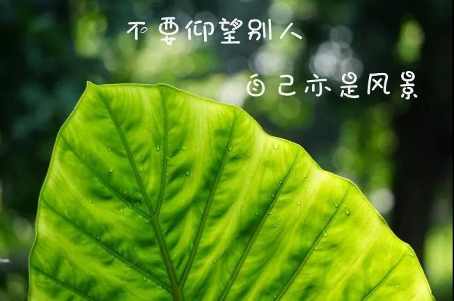 勵志的簡短句子