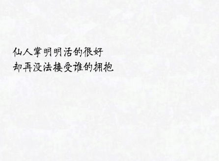 抒情的溫馨句子