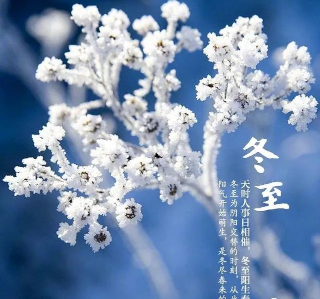 冬至祝福語簡(jiǎn)短獨(dú)特