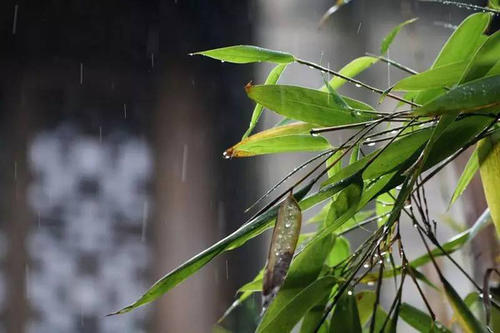 下雨天的關(guān)心問候短信