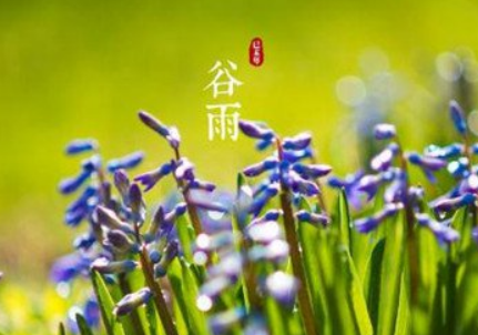 2024年谷雨簡(jiǎn)短祝福語(yǔ)