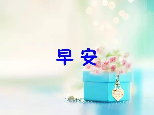 適合早上發(fā)的每日晨語發(fā)朋友圈早安正能量短句