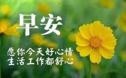 早上好問(wèn)候語(yǔ) 適合清晨發(fā)的朋友圈暖心話(huà) 早上好問(wèn)候語(yǔ) 適合清晨發(fā)的朋友圈暖心話(huà)